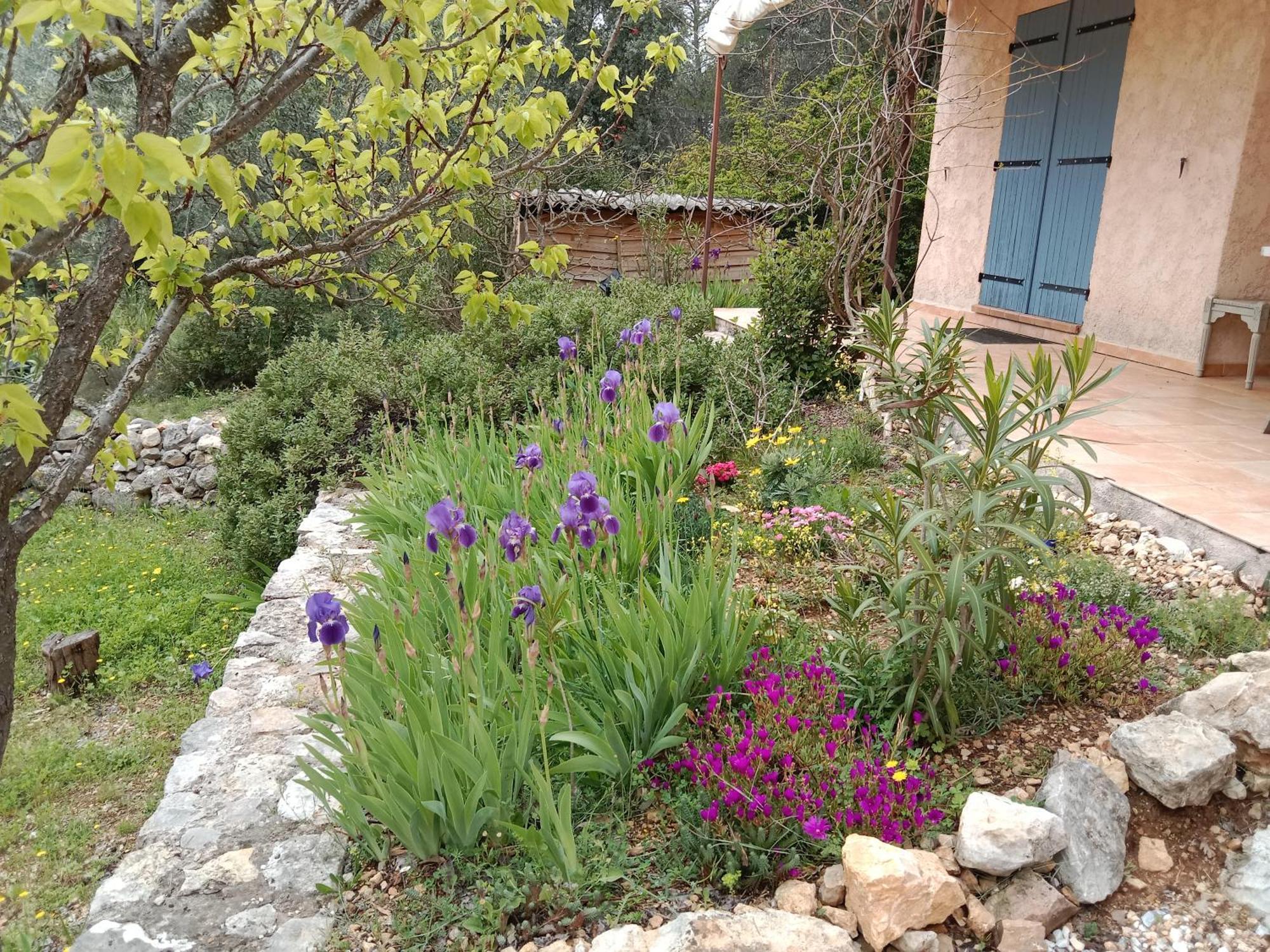La Farigoulette Bed & Breakfast Lorgues Bagian luar foto